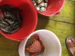 碧波海鲜舫-蓝湾碧波·老字号·疍家非遗海上餐厅