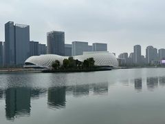 -金沙湖公园