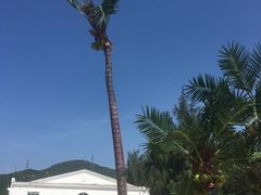 -玫瑰海岸文化旅游度假区