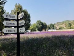 -紫海香堤香草艺术庄园
