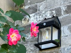 -创艺无限·赵春香微妙艺术馆