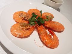 -醉辉皇上海之巅(上海中心大厦店)