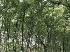 -西溪南古村落