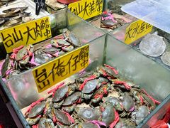 -珠光市场(文德南路)