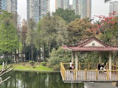 -晓港公园