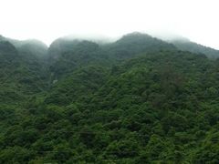 -宁波五龙潭景区