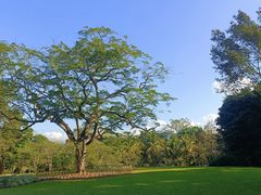 -中国科学院西双版纳热带植物园