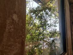 -神户六甲牧场(北野本店)