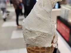 -野人先生现做冰淇淋(西安赛格店)