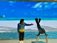 -厦门海底世界