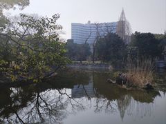 -叶家花园