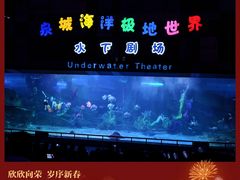 -泉城欧乐堡海洋极地世界