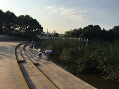 -新江湾城公园