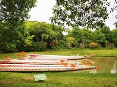 -上海海湾国家森林公园