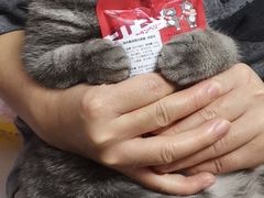 -PETKIT 小佩宠物·低压洗护·美容·寄养(安远店)