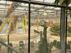 -南宫五洲植物乐园