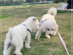 -蜀绣公园