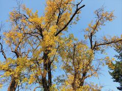 -苏州碑刻博物馆