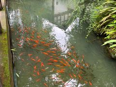 -三苏祠