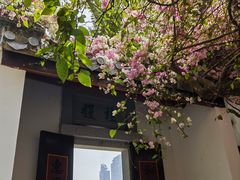 -深圳国际园林花卉博览园