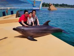 -秦皇岛乐岛海洋王国