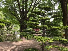 -北海道厅旧本厅舍(旧本庁舎)