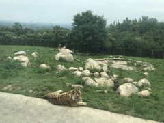 -西安秦岭野生动物园