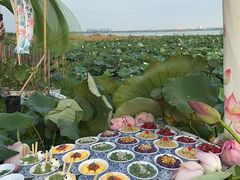 -七的湖·晚芳亭·阳澄湖农家菜·大闸蟹(莲花岛店)