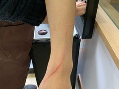 -佐罗家宠物馆·猫文化馆(紫霞路店)