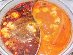 -青瓷火锅料理(西单大悦城店)