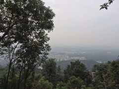 -火炉山森林公园