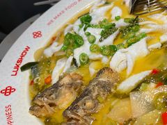 招牌禄鼎记酸菜鱼-禄鼎记·多口味酸菜鱼(侨鑫店)