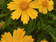 -玄武湖景区-情侣园游乐场