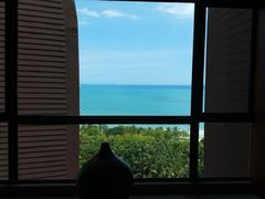 -三亚湾海居铂尔曼度假酒店