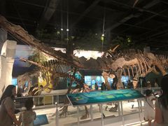 -国家自然博物馆