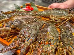 -松临·铁板烧&Omakase(神农店)