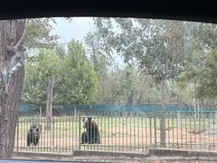 -秦皇岛野生动物园