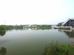 -上海长兴岛郊野公园