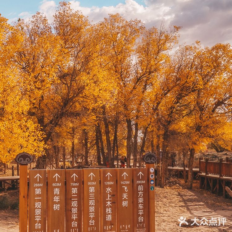 秋天必去的额济纳🍁每年国庆如期而至‼️