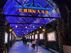 -广州长隆国际大马戏