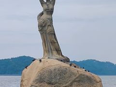 -野狸岛