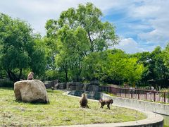 -齐齐哈尔龙沙动植物园