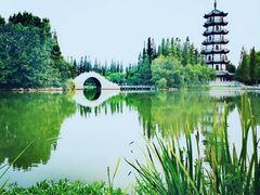 -桃花岛公园