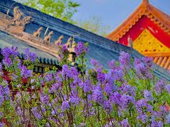 -北京市劳动人民文化宫(太庙)