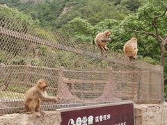景点-云台山风景名胜区