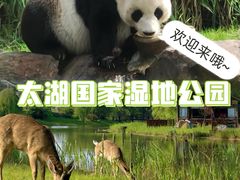 -苏州太湖国家湿地公园