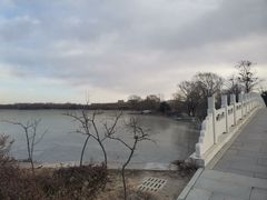 -大兴滨河森林公园