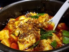 -陈麻婆豆腐总店