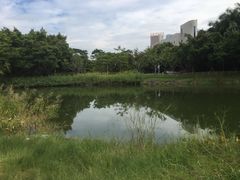 -福田红树林生态公园