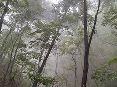 -大连天门山国家森林公园